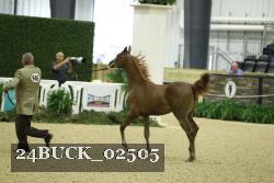 24BUCK_02505 proof