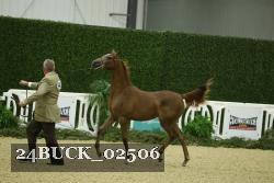 24BUCK_02506 proof