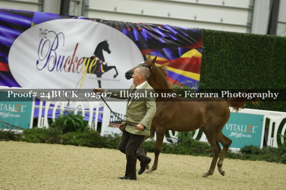 Proof 24BUCK_02507