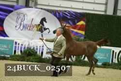 24BUCK_02507 proof