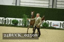 24BUCK_02508 proof