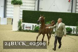 24BUCK_02509 proof