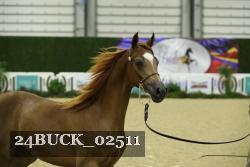 24BUCK_02511 proof