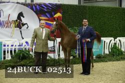 24BUCK_02513 proof