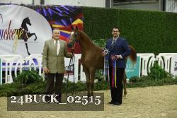 24BUCK_02515 proof