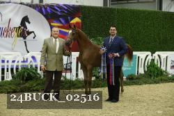 24BUCK_02516 proof