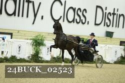 24BUCK_02523 proof
