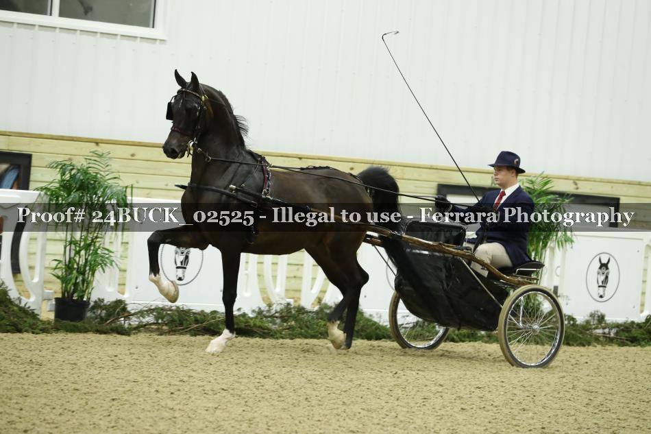 Proof 24BUCK_02525