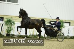 24BUCK_02525 proof