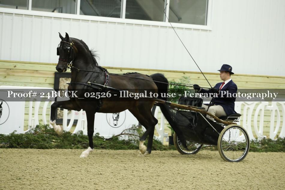 Proof 24BUCK_02526