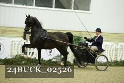 24BUCK_02526 proof