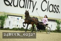 24BUCK_02527 proof