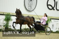 24BUCK_02528 proof