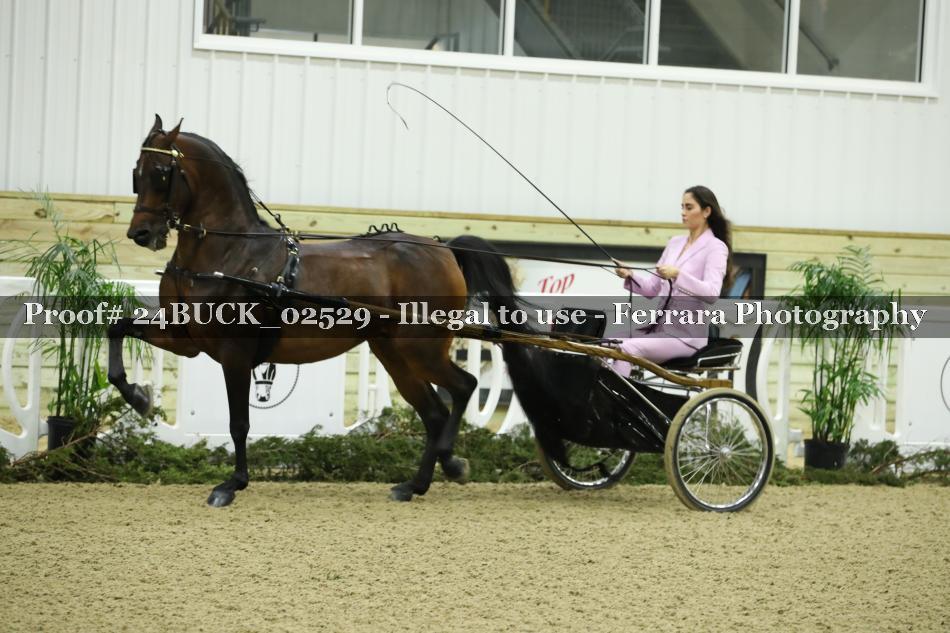 Proof 24BUCK_02529