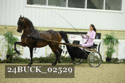 24BUCK_02529 proof
