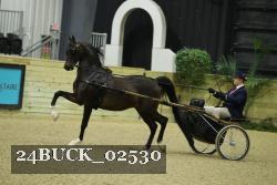 24BUCK_02530 proof