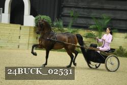 24BUCK_02531 proof