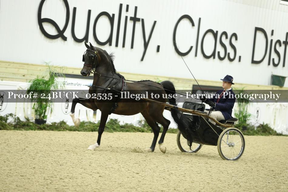 Proof 24BUCK_02535