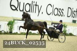 24BUCK_02535 proof