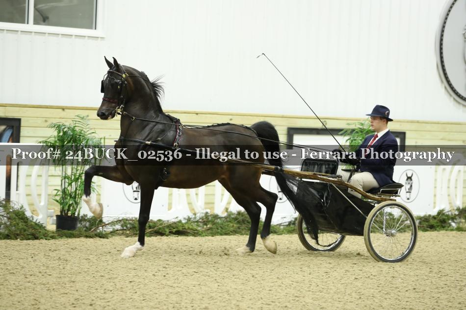 Proof 24BUCK_02536