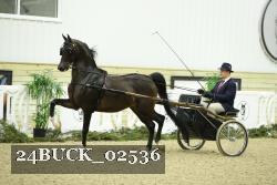 24BUCK_02536 proof