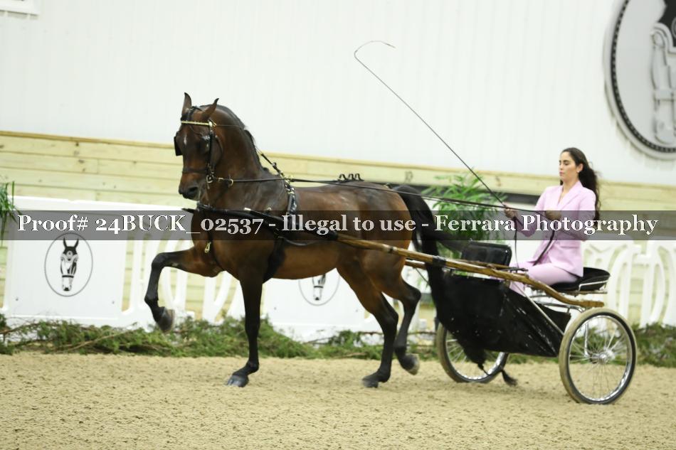Proof 24BUCK_02537