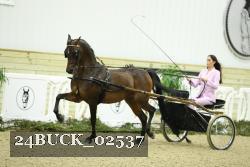 24BUCK_02537 proof