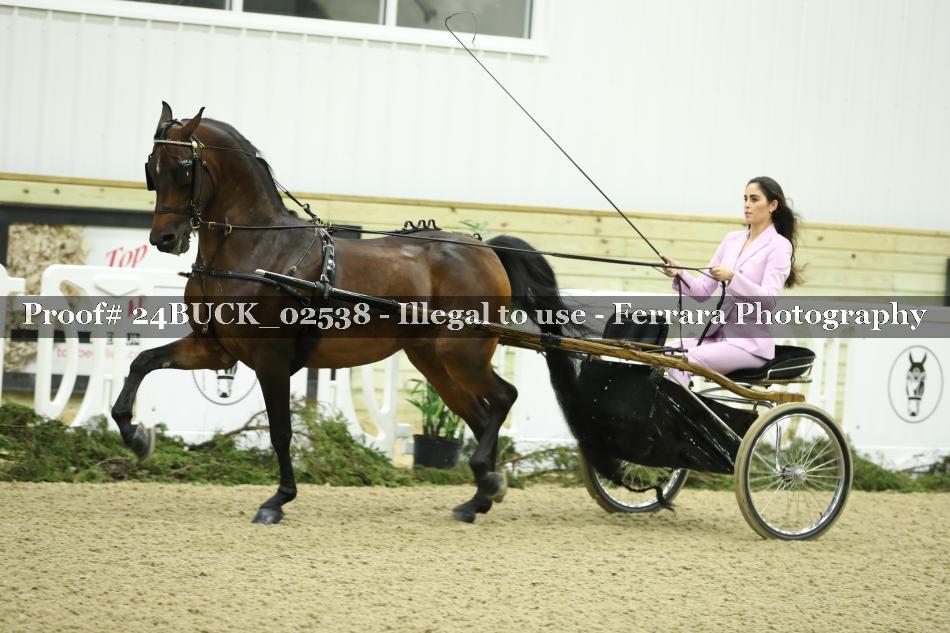 Proof 24BUCK_02538
