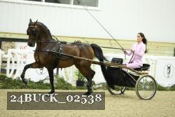 24BUCK_02538 proof