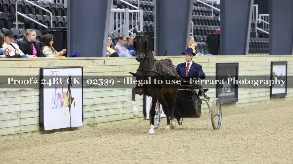Proof 24BUCK_02539