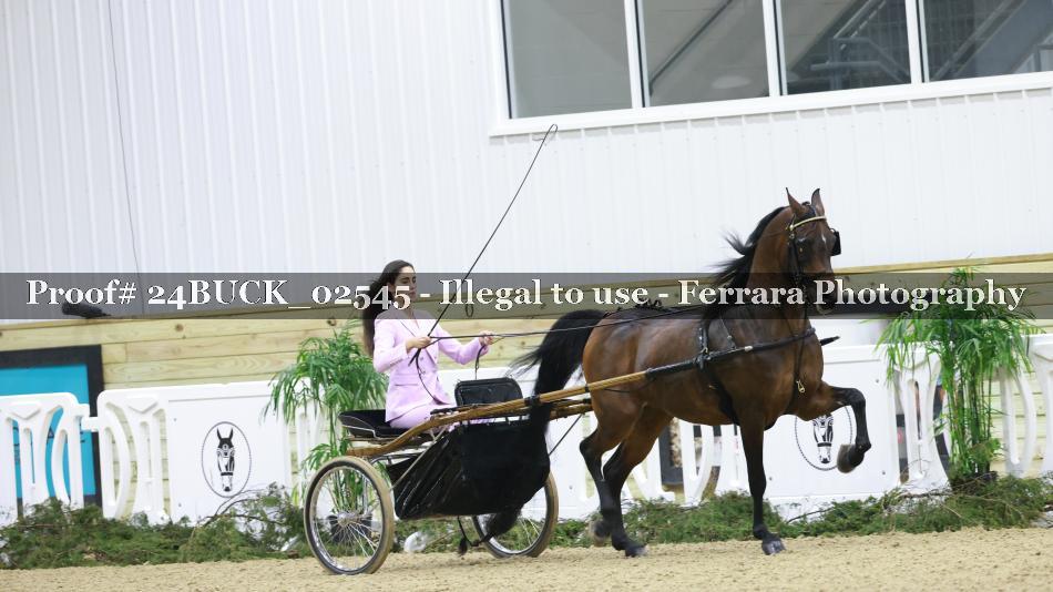 Proof 24BUCK_02545