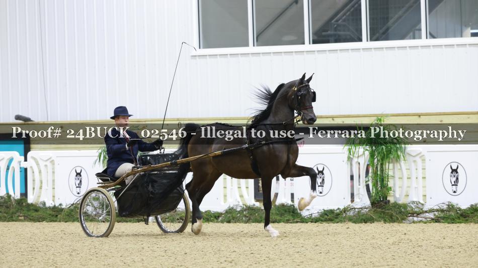 Proof 24BUCK_02546