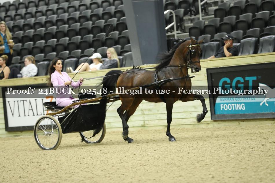 Proof 24BUCK_02548