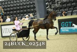 24BUCK_02548 proof