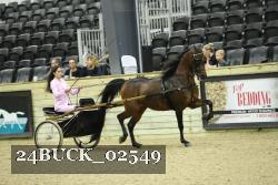 24BUCK_02549 proof