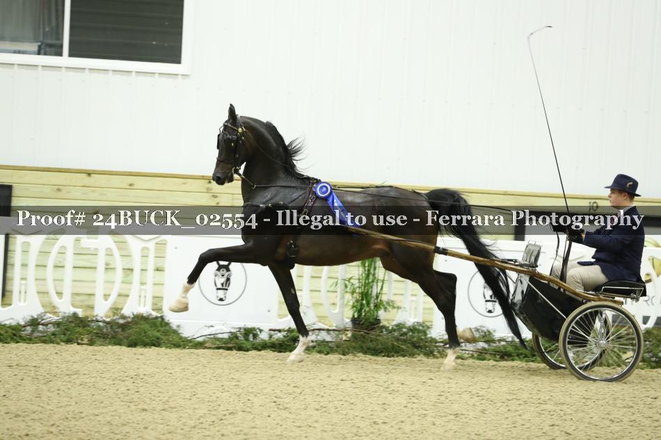 Proof 24BUCK_02554