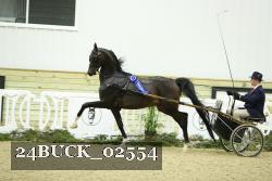 24BUCK_02554 proof