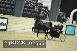 24BUCK_02555 proof