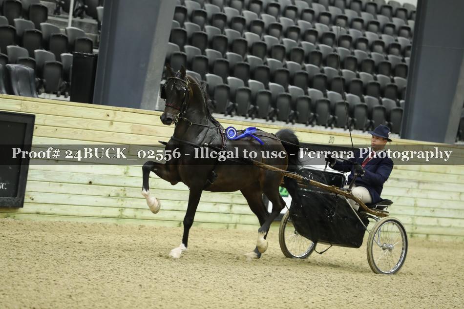Proof 24BUCK_02556