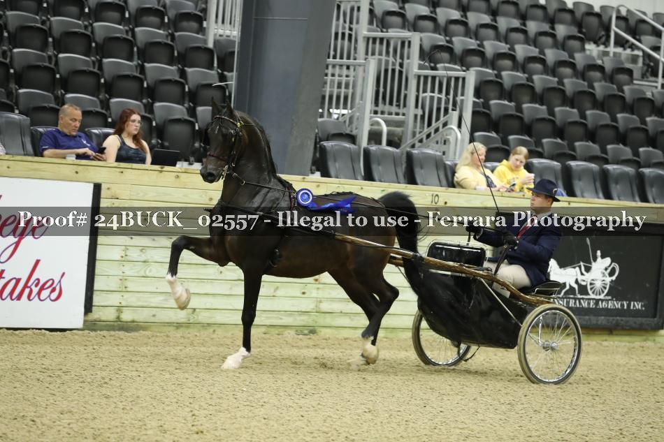Proof 24BUCK_02557