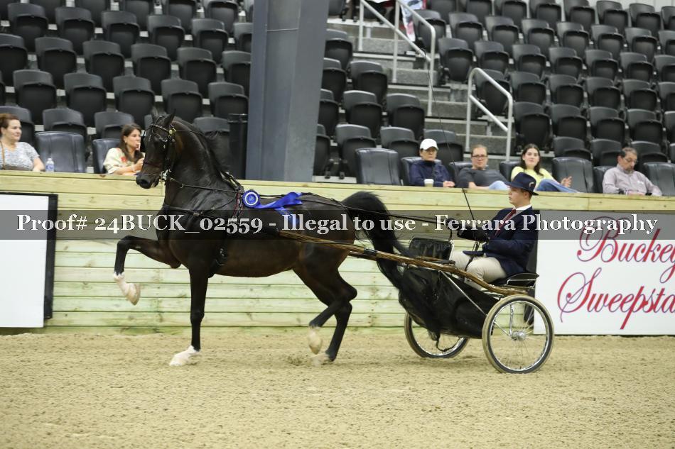 Proof 24BUCK_02559