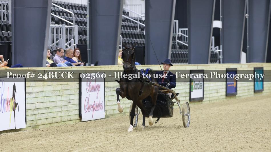 Proof 24BUCK_02560
