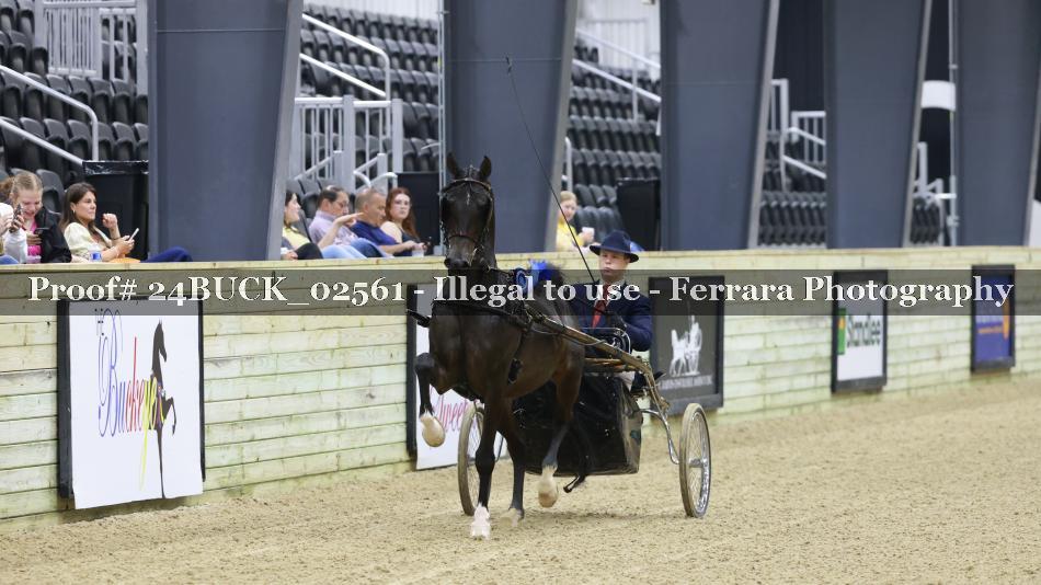 Proof 24BUCK_02561