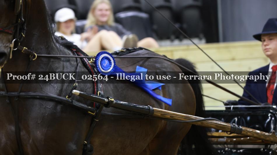 Proof 24BUCK_02564