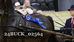 24BUCK_02564 proof