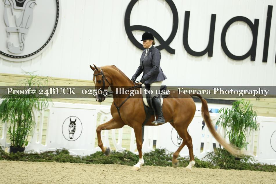 Proof 24BUCK_02565