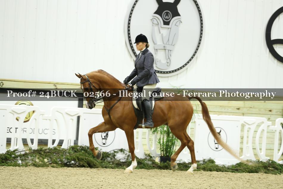 Proof 24BUCK_02566