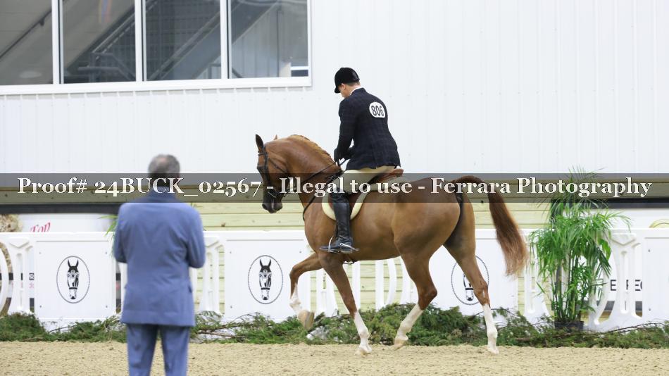Proof 24BUCK_02567