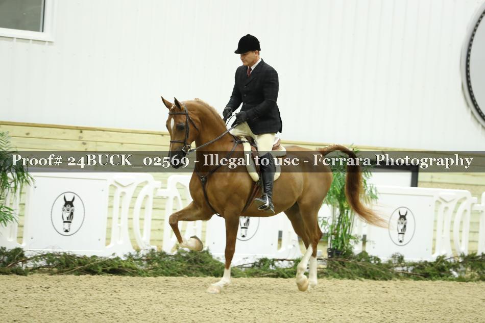 Proof 24BUCK_02569