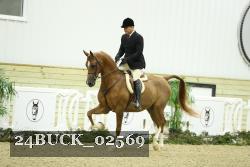 24BUCK_02569 proof